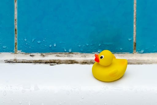 rubber ducky on moldy tub