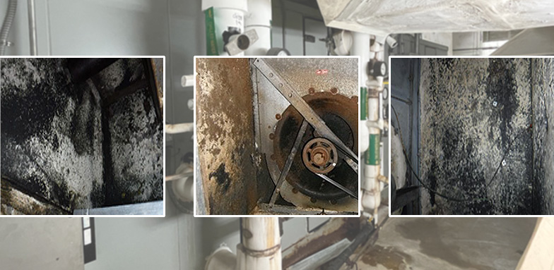 Ozone to Kill Mold in HVAC System